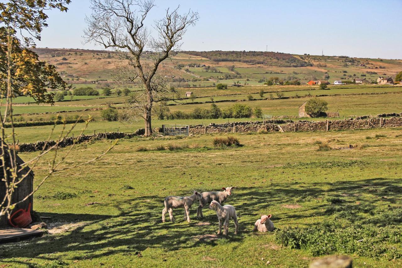 Moorland View Farm B&B Oakamoor Esterno foto